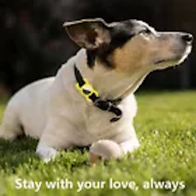 For Airtag Keychain Silicone Airtag Case for Luggage Cat Dog Collar Car Compatible with Apple Airtag 2025