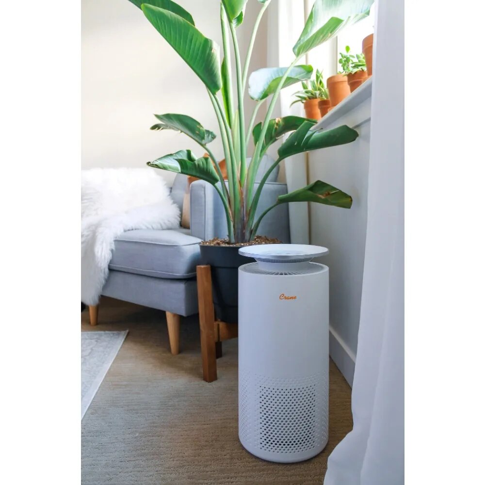 Air Purifier with UV Light, 500 Sq Feet Coverage, Multiple Functions, White air purifier for home home appliance