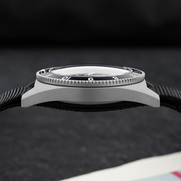 Watchdives WD1972 Quartz Watch VH31 Sweep Seconds Movement Sapphire Crystal BGW9 Luminous 20Bar Waterproof Vintage Men's Watch