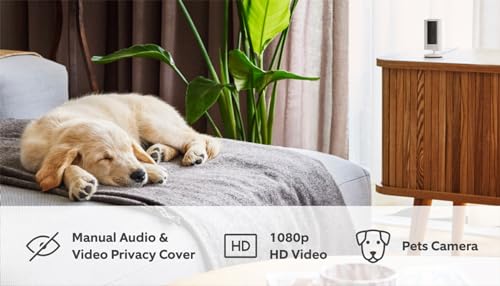 Ring Indoor Camera (2nd Gen) by Amazon | Plug-In Pet Security Camera | 1080p HD, Two-Way Talk, Wifi, Privacy Cover, DIY | alternative to CCTV system | 30-day free trial of Ring Protect