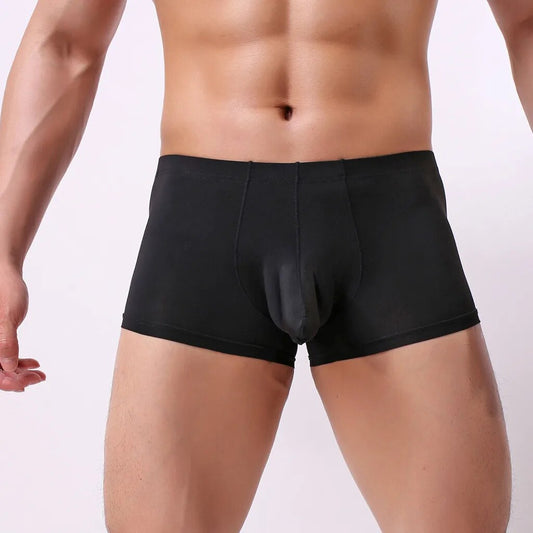 Underwear Men's Boxer New Ice-Threaded Bullet Sexy Underpants Male Breathable Elephantse Underwear Men cueca masculina 2024