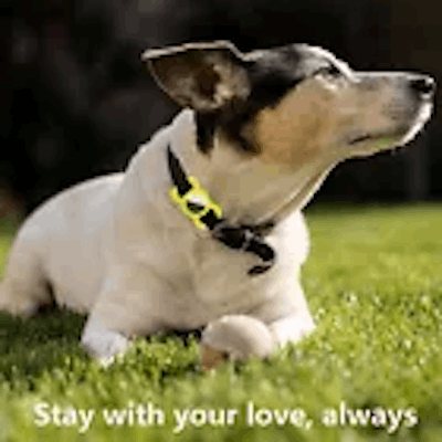 Airtag Keychain Silicone for Luggage Cat Dog Collar Car Compatible with Apple Air Tag- Pack Of 2 /4.