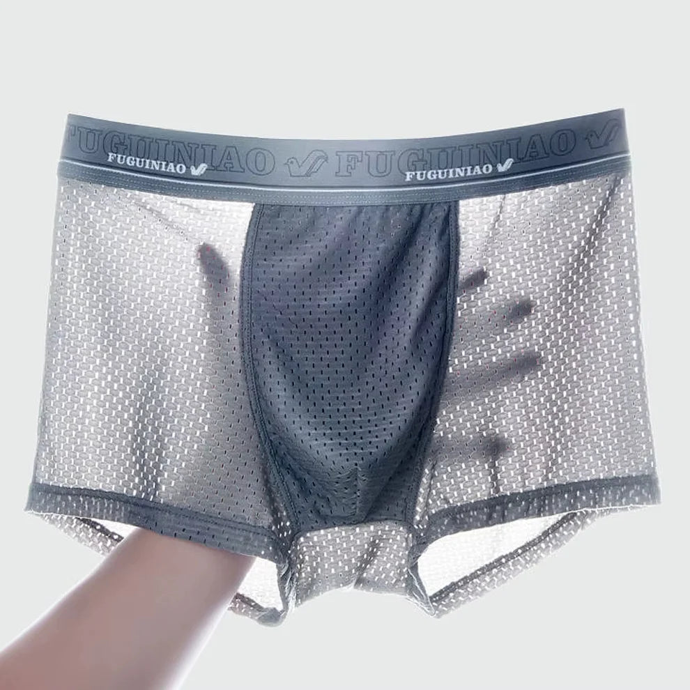 Man Summer Mesh Underpants Boxer ( Pack Of 4 ) Mesh Nylon Breathable