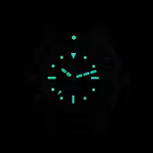 Watchdives WD1972 Quartz Watch VH31 Sweep Seconds Movement Sapphire Crystal BGW9 Luminous 20Bar Waterproof Vintage Men's Watch